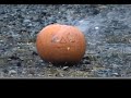 Death of the Laser Pumpkin