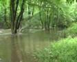 Meanwood Park Flood June 2007