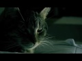 Canon HV20 Test Sigur Ros