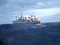 ucluelet coastal charters