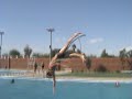 Dive niggers