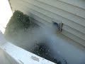 Dryer vent + 200mph leaf blower