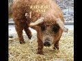 MUSIBAH-PRODUK HALAL vs HARAM - APA TANGGUNG JAWAB ANDA MUSIBAH-PRODUK HALAL vs HARAM - APA TANGGUNG JAWAB ANDA