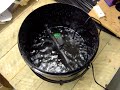 DIY Aeroponic Propagator