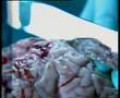 Chaque cigarette vous detruit - cerveau