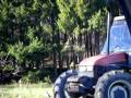 videos de 22 23 nov 2008 (75).avi