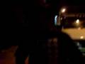 videos de -it's my life- david