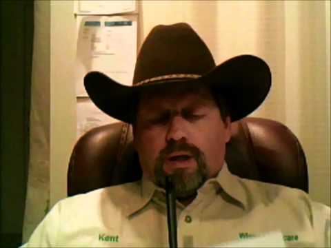 how to deep root fertilize a tree