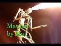 Burningman 2006