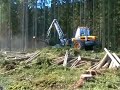 Ponsse Bear c55  h8