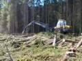 Ponsse Bear c55 h8