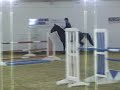 BSJA Equine Pathway