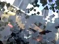 CRAZY MOTORCYCLE VIDEO!