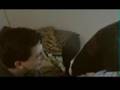 EXTRAORDINARY Webdoc 10: POSTPRODUCTION - ADR Voice Overs