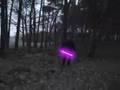 Endor Effekt Test Film