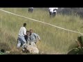 Settler shooting Palestinians, 