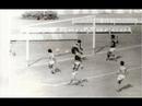 Ver Video