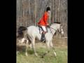 Extreme Cowboy Race Application:  Equine Affair Ohio 2008