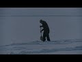 Teamwork - Cooperative activity of...