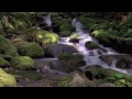 Mahaganapathi - Sri M. S. Gopalakrishnan - (Violin) Indian Classical Instrumental