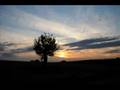 Leon Bolier Feat Simon Binkenborn-I Finally Found (Extended)