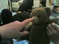 nesbit the bear karate fight