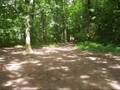 Quad fait maison VS dirt bike 250