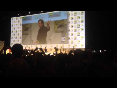 chris - Robert Downey Jr., Mark Ruffalo, Chris Evans, Elizabeth Olsen, Chris Hemsworth and more took the stage at 2014 Comic Con.