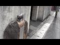 内田百間
