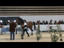 PSAR Vertigo 1/3