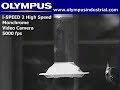 Hummingbird High Speed Video