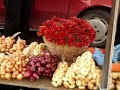 St Francis Festival MARKET DAY!!!!
