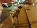 Nut Tap 2