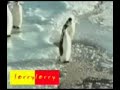 Video hauskaa huumoria № 440