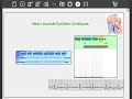 Heart Sounds.