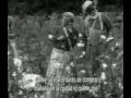 Hallelujah-Aleluya.(King.Vidor,1929).VOSE.Una buen cosecha - O cotton.avi