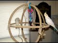 Lean on me tiels