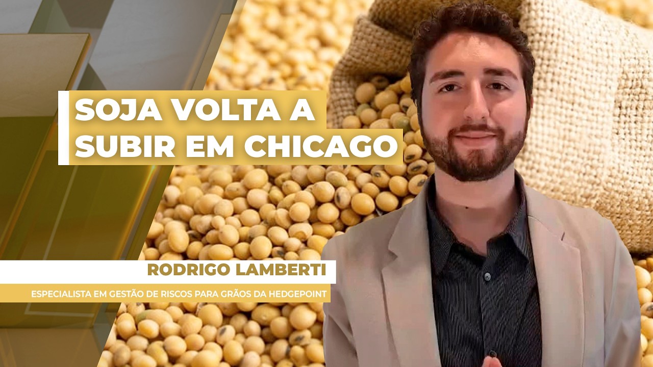 Soja fecha em alta na Bolsa de Chicago, mas repasse dos ganhos para os preços do BR continua...