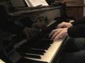 Me Playing Chopin 's Raindrop Prelude (No 15)