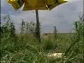 Rob Creighton Windlift Renewable energy