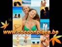 Producecocoon2.mpg