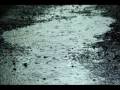 Assemblage 23 - Cocoon