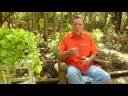 Lawn Care & Design : Caring for Outdoor Wood Furniture