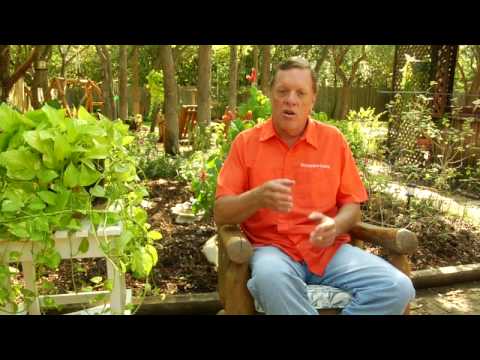 how to treat outdoor wooden furniture
