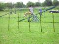 videos de Nicole & Kacey Abierta de Agility 26-10