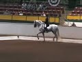 2008 Raleigh CDI - Andrea Velas-Grand Prix Musical Freestyle