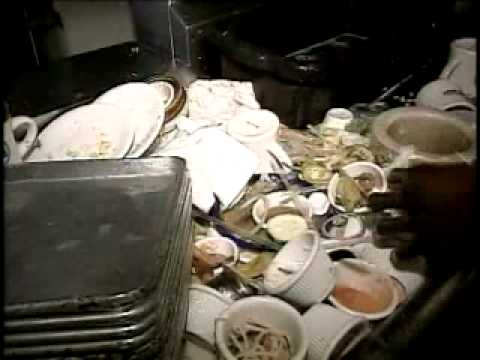 how to be a dishwasher at a restaurant