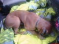 ryley ryley