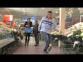 Gewoon bij Albert Heijn - Teaser