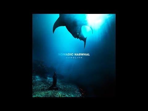 NOMADIC NARWHAL New Single 